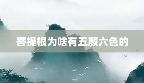 菩提根为啥有五颜六色的