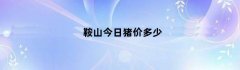 鞍山今日猪价多少
