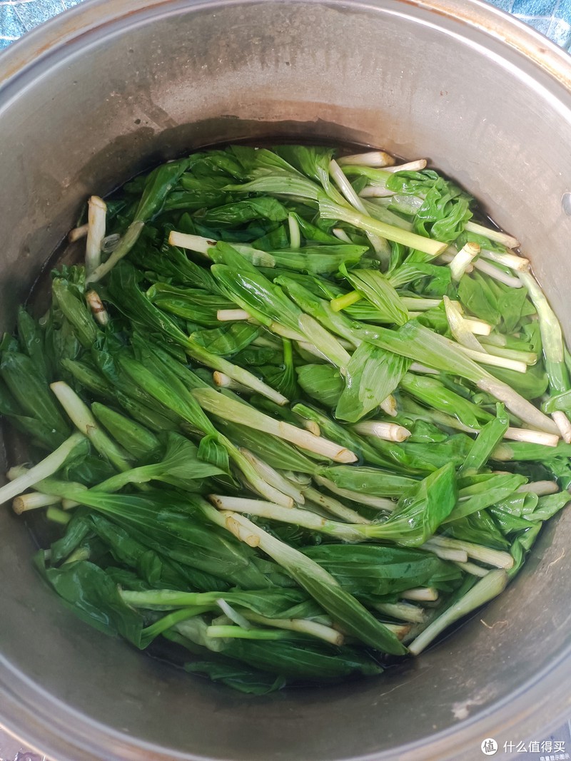 东北人都喜欢的野生山菜
