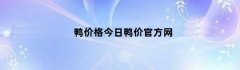 鸭价格今日鸭价官方网