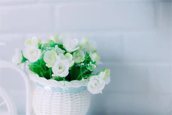 风化菩提根是什么（风化菩提根是什么味道）
