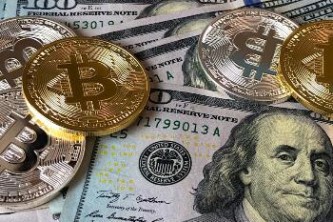 谷子多少钱一斤最新行情？
