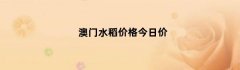 澳门水稻价格今日价
