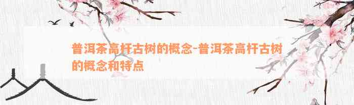 普洱茶高杆古树的概念-普洱茶高杆古树的概念和特点