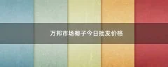 万邦市场椰子今日批发价格