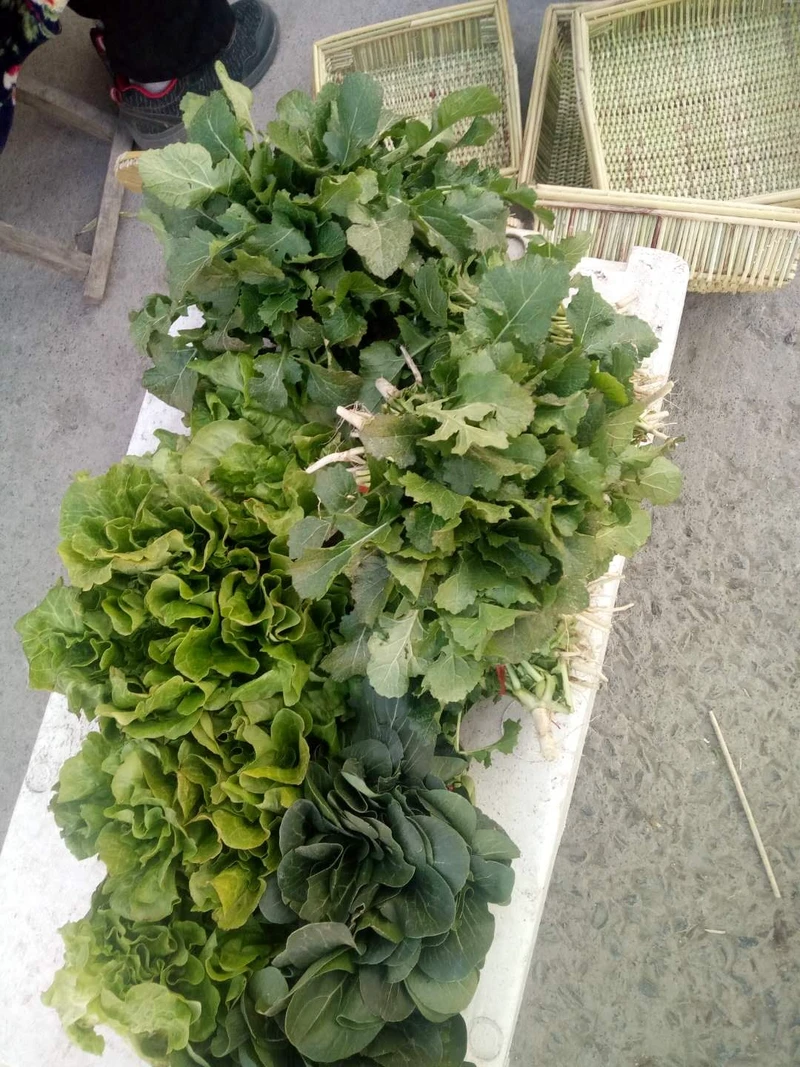 废弃高粱秆在八十岁老人手里变身为各种即将失传的农家厨具,真中