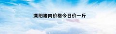 溧阳猪肉价格今日价一斤（溧阳屠宰场猪肉批发价格）