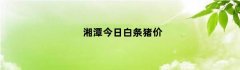 湘潭今日白条猪价（湘潭今日白条猪价格行情）