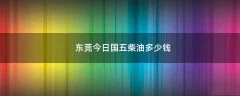 东莞今日国五柴油多少钱