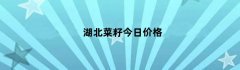 湖北菜籽今日价格（湖北菜籽今日价格行情）