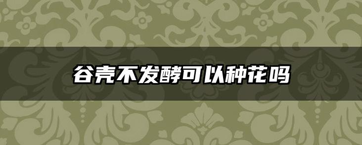 谷壳不发酵可以种花吗