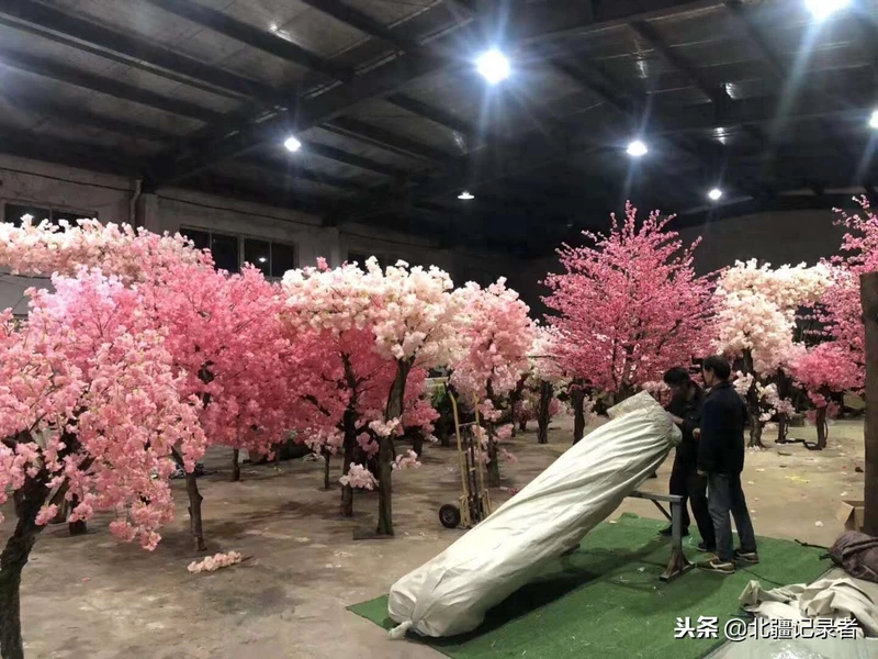 68岁农民成为全国“干花大王”,年销售额近三亿元,带领村民致富