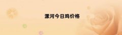 漯河今日鸡价格（漯河今日鸡价格多少）