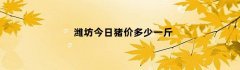 潍坊今日猪价多少一斤（潍坊今日猪价多少钱1斤）