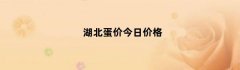 湖北蛋价今日价格（湖北鸡蛋价格）
