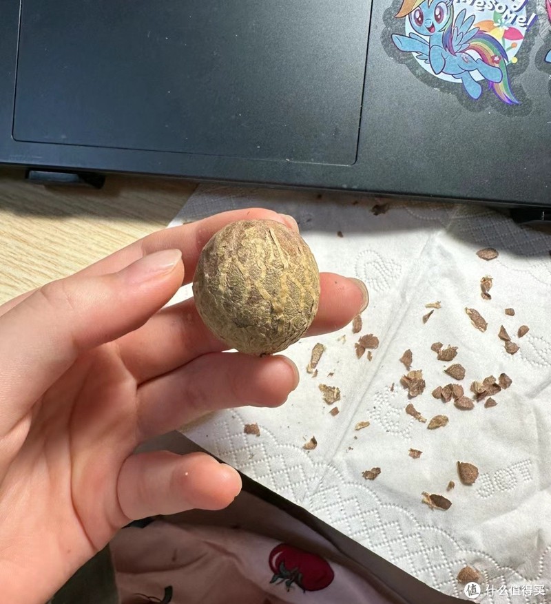 菩提根怎么变润