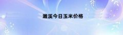 濉溪今日玉米价格（濉溪今日玉米价格查询）