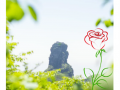 此情绵绵无绝期  我亲爱的梵净山