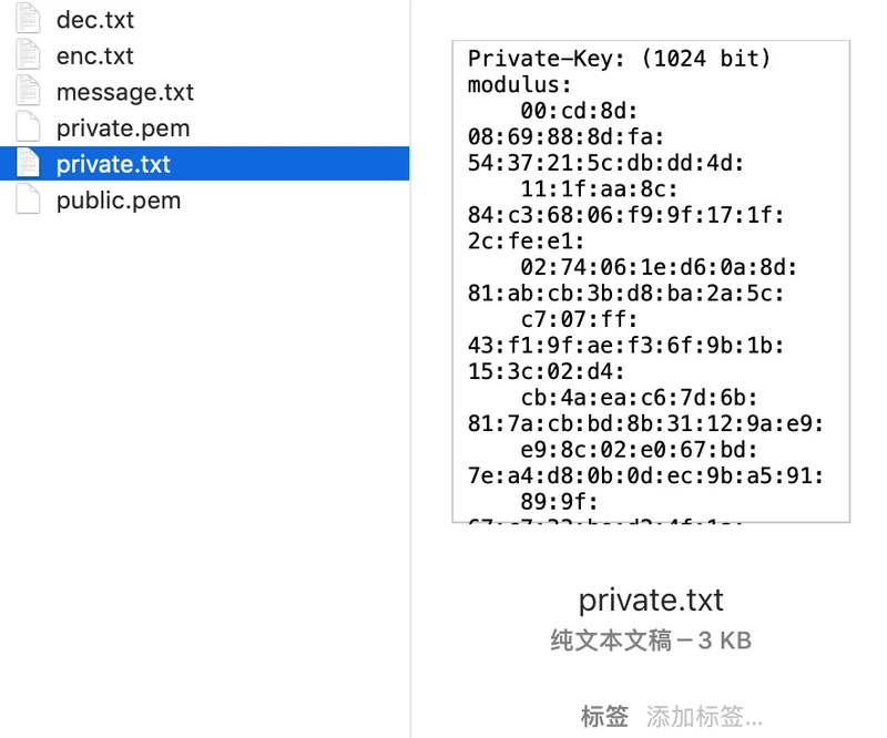 步骤6:输出查看的私钥txt文件 private.txt .png