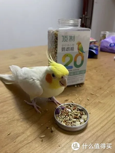 国产有哪些高端鹦鹉粮品牌?