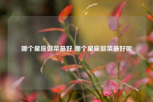 哪个星座做菜最好 哪个星座做菜最好呢