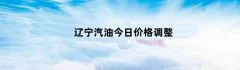 辽宁汽油今日价格调整