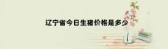 辽宁省今日生猪价格是多少