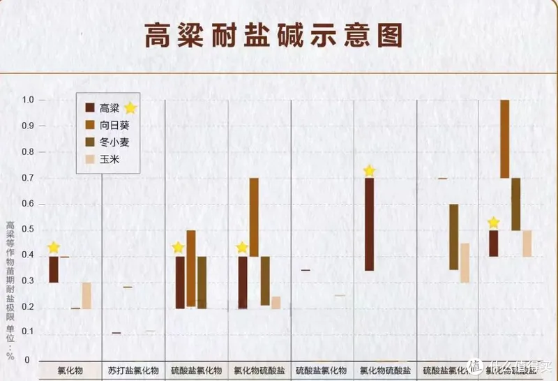 为什么难以下咽的高粱，会成为中国白酒界的“教父”？