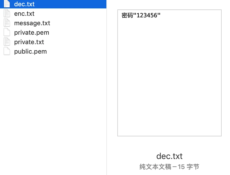 步骤11:通过私钥private.pem解密之前加密的密文enc.txt,并生成解密后的文件dec.png
