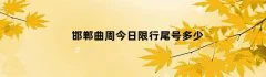 邯郸曲周今日限行尾号多少