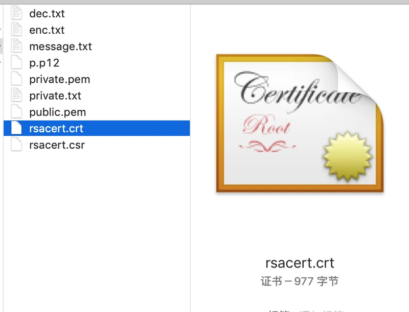 步骤2,根据请求文件申请的证书文件.png