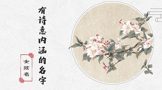 女孩有诗意内涵的名字