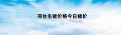 邢台生猪价格今日猪价