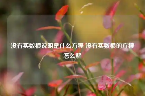 没有实数根说明是什么方程 没有实数根的方程怎么解