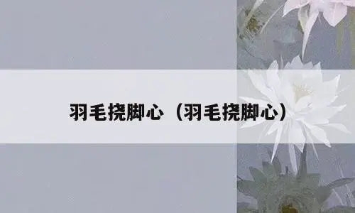 羽毛挠脚心（羽毛挠脚心）