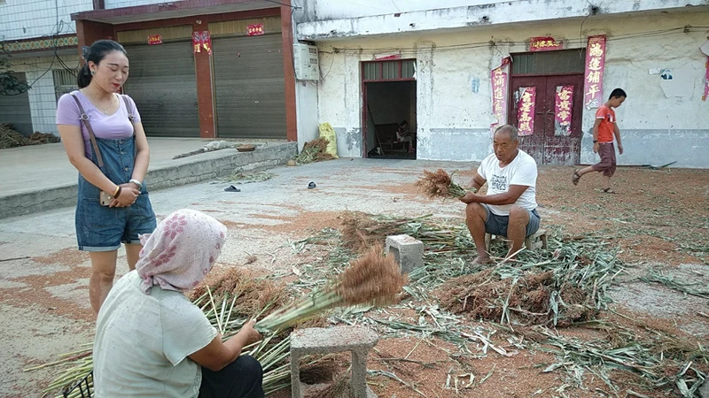 农村的高粱成熟了，今年收成怎么样呢？大叔为啥说比种花生好的多