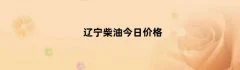 辽宁柴油今日价格