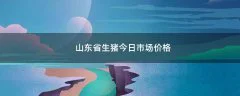 山东省生猪今日市场价格
