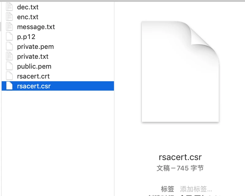 步骤1,生成的证书请求文件.png