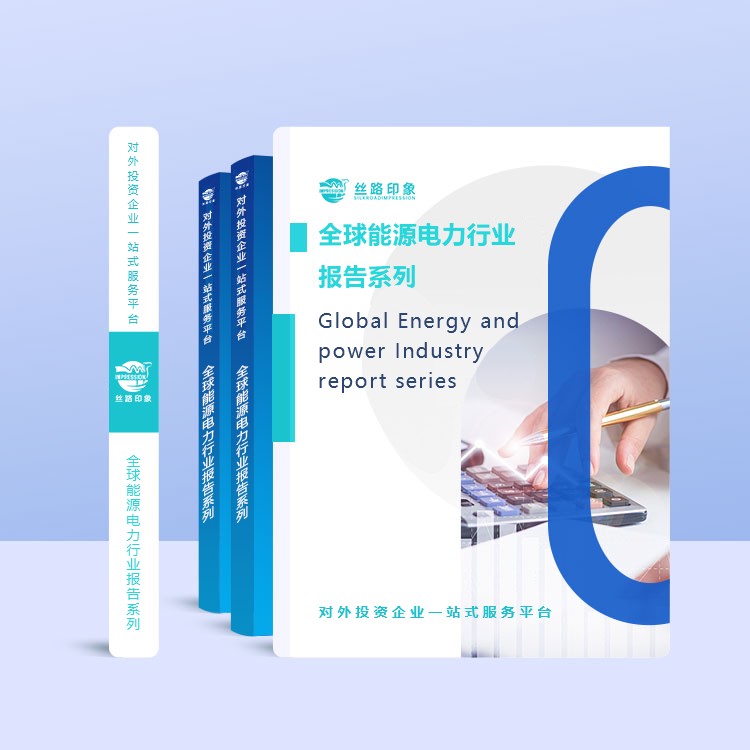 2025-2030年越南电力行业投资前景及风险分析报告