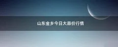 山东金乡今日大蒜价行情