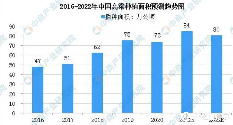 为什么难以下咽的高粱，会成为中国白酒界的“教父”？