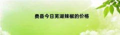 费县今日芜湖辣椒的价格