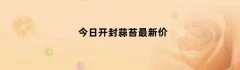 今日开封蒜苔最新价（开封今日蒜价格最新行情）