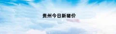 贵州今日新猪价