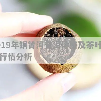 2019年铜箐河普洱价格及茶叶市场行情分析