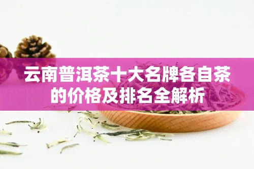 云南普洱茶十大名牌各自茶的价格及排名全解析
