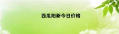 西瓜阳新今日价格