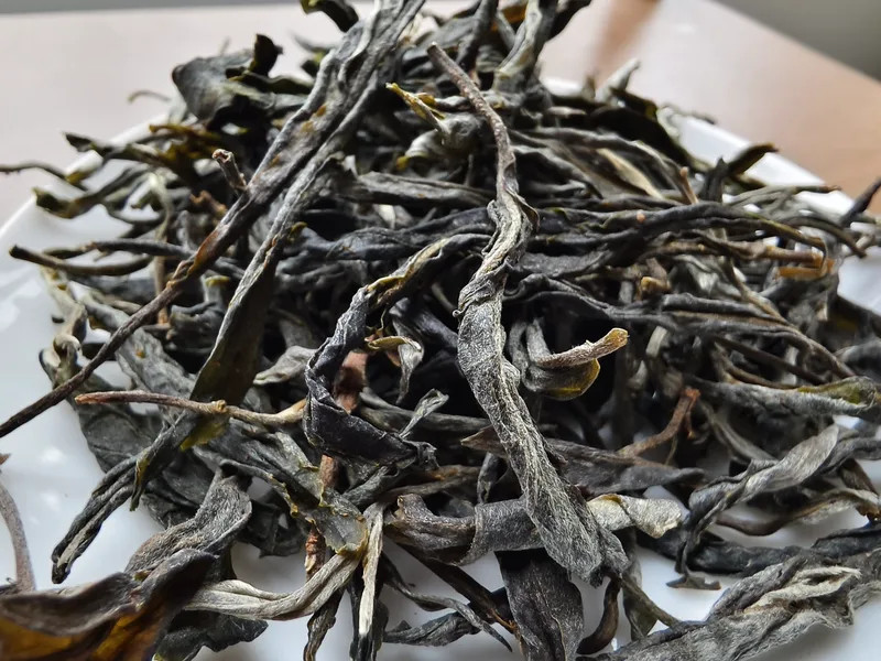 天门山古树茶多少钱?