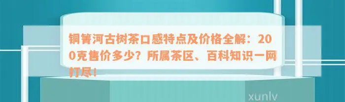 铜箐河古树茶口感特点及价格全解：200克售价多少？所属茶区、百科知识一网打尽！